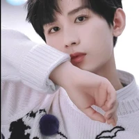 Thành Nghị, 20