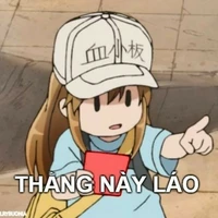 nhân vật cân mọi vai