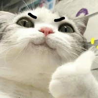 Tác Giả( Kayz)