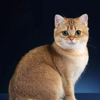 Thằng viết truyện