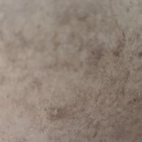 người hầu nữ +nam