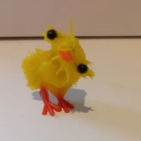 tác giả 🐥💤