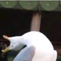 Nhân vật phụ