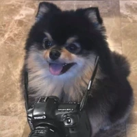 Tannie