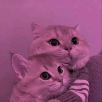 tác giả mới nhú