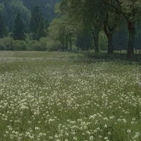 Nhân vật quần chúng