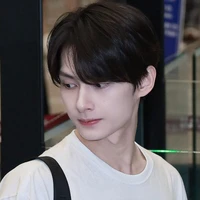 Wen Junhui