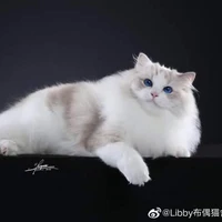 Kun Kun