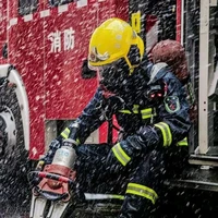 Đội trưởng (Phong)