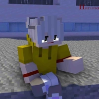 Vid