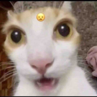 All