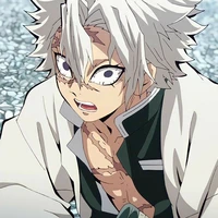 Shinazugawa Sanemi