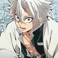 Shinazugawa Sanemi