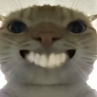 đừng để ý đến t