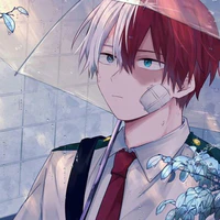 Todoroki Shouto