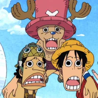 Usopp, Luffy, Chopper