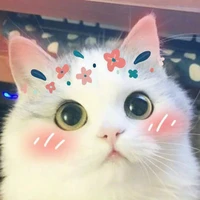 Bà Tác Giả
