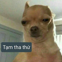 t/g thân iu