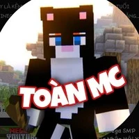 ToanMCVN