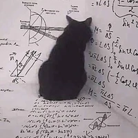 Fallen Angle