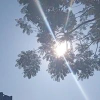 các anh ( 8 người)