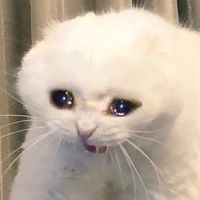 Ri mê loạn lắm