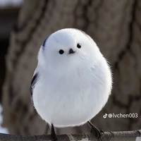 tg cute