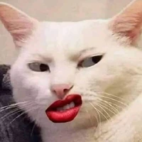 4 cô