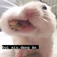đẹp trai giai đoạn cuối
