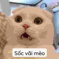 all trừ người cần trừ