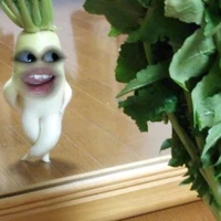 tg nèe