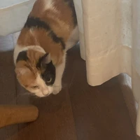 nhân vật bí ẩn :))))