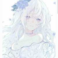 Yamamoto michi