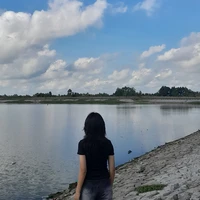 t/g hướng tùm lum