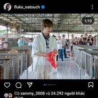 fluke