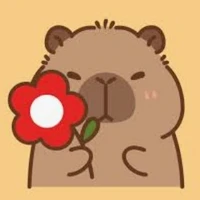 Tất cả ahđd nữ