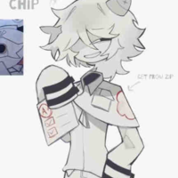 Chip