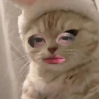 ??