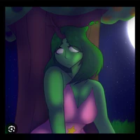 nim