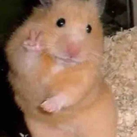 Hệ Thống 34 (Osi) 