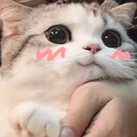 Li (tác giả)