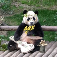 Nhỏ tác giả xàm xí