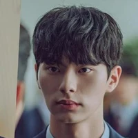Kang Ha