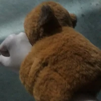 tg đa giới tính