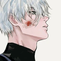Nagi Seishirou