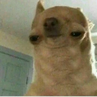 t/g