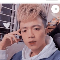 Quách hoài việt (vịt)