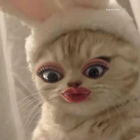 tg tên n