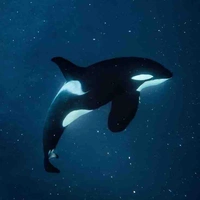 Orca