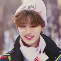 Đinh Trình Hâm